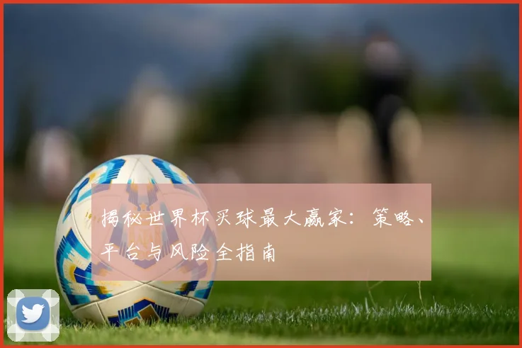 揭秘世界杯买球最大赢家：策略、平台与风险全指南